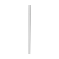Replacement Straws